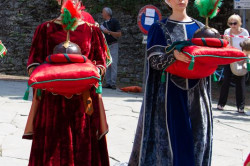 2023 06 16 bollatura cavalli 83