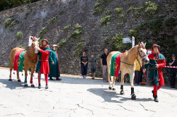 2023 06 16 bollatura cavalli 88