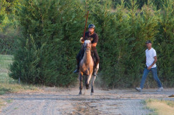 2023 08 25 simulazione giostra campo prove 103