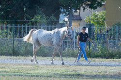 2023 08 25 simulazione giostra campo prove 11