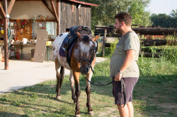 2023 08 25 simulazione giostra campo prove 26