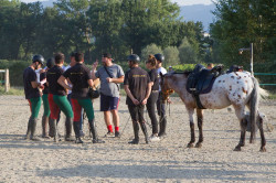 Simulazione Giostra campo prove