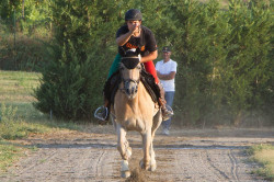 2023 08 25 simulazione giostra campo prove 60