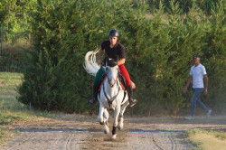 2023 08 25 simulazione giostra campo prove 64