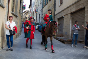 Tedeum preparazione e sfilata 0142