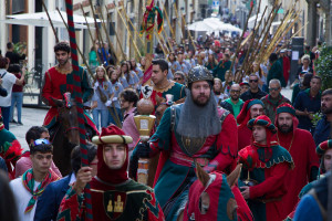Tedeum preparazione e sfilata 0158
