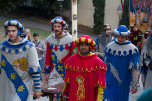 Tedeum preparazione e sfilata 0171