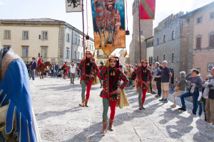 Tedeum preparazione e sfilata 0211