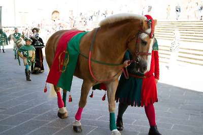 Bollatura 6 settembre 2025   102