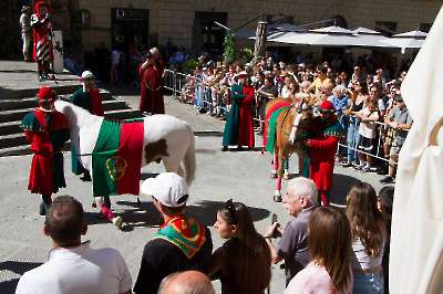 Bollatura 6 settembre 2025   219