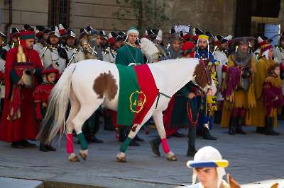 Bollatura 6 settembre 2025   236