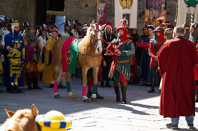 Bollatura 6 settembre 2025   254