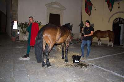 Sfilata 20 giugno 2026 322