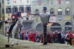 Saracino 10
