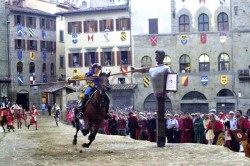 Saracino 11