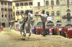 Saracino 14
