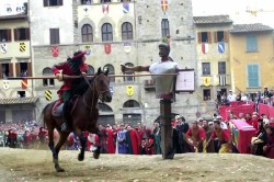 Saracino 1