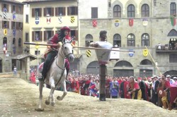 Saracino 7