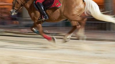 Tempi Carriere 149a Giostra del Saracino
